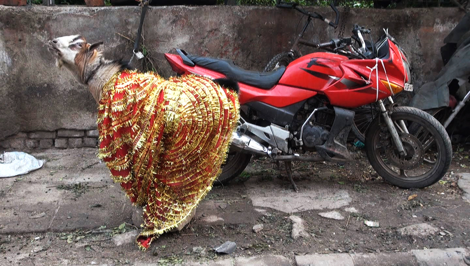 Real India 04.1.jpg