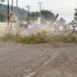 The Peepul Tree Gross 04.jpg