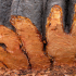 The Peepul Tree Gross 06.jpg