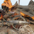 The Peepul Tree Gross 09.jpg