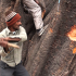 The Peepul Tree Gross 10.jpg